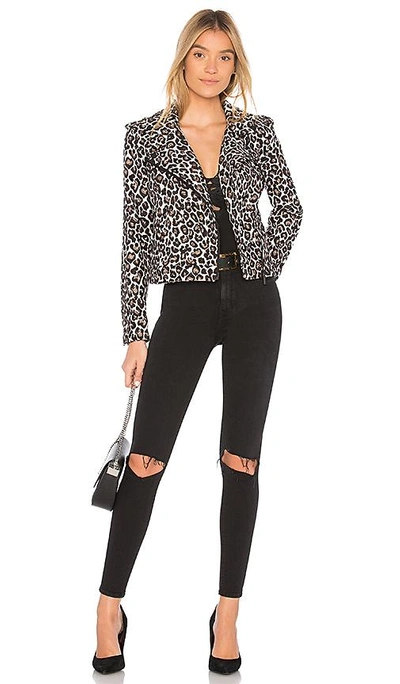 Shop Sanctuary Poison & Leopard Moto Jacket In Brown