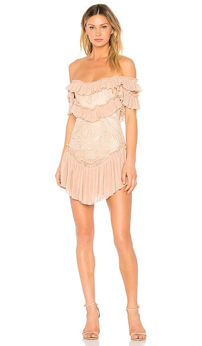 Shop Alice Mccall Lovebirds Dress In Shell