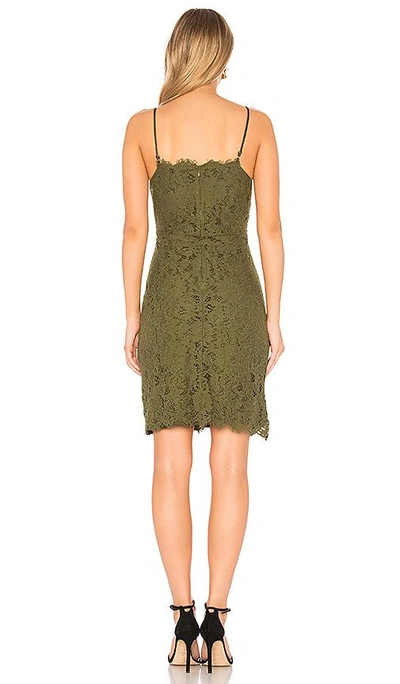 Shop Bobi Black Botanical Dress In Green