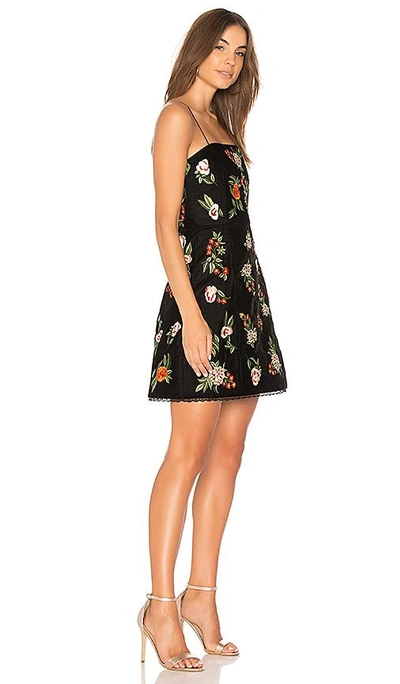 Shop Alice And Olivia Launa Embroidered Dress In Black