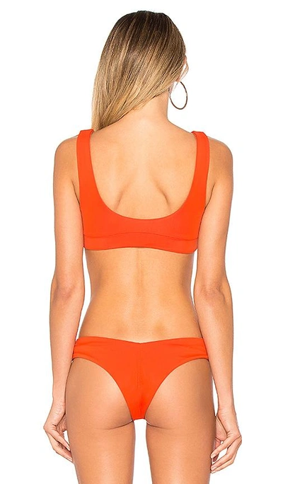 Shop F E L L A Romeo Bikini Top In Burnt Orange