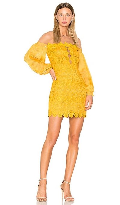 Shop Three Floor Gardenia Dress In Yellow