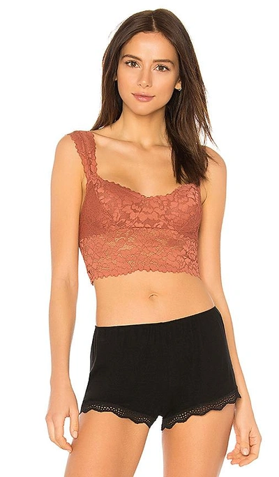 Shop Free People Dream Away Lace Brami In Rust