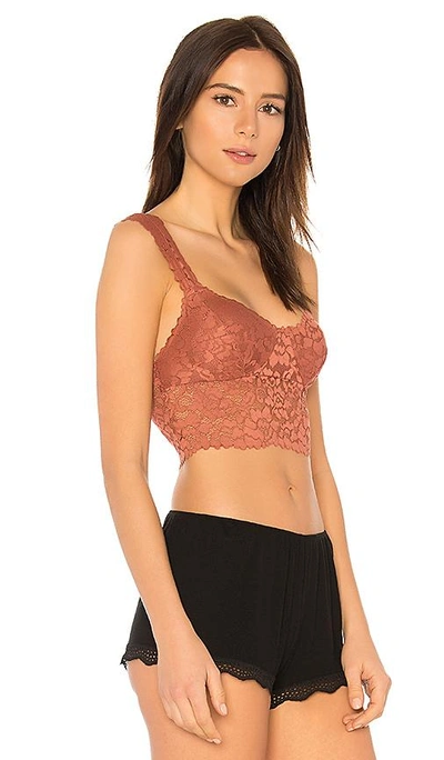 Shop Free People Dream Away Lace Brami In Rust