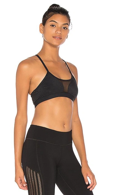 Shop Beloforte Sofia Sports Bra In Black