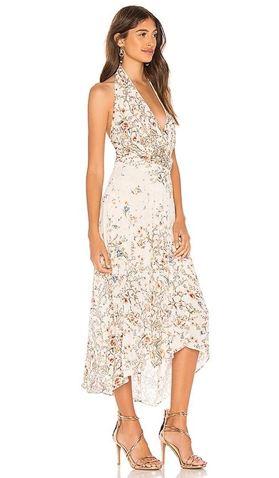 Shop Haute Hippie Andalusia Dress In Ivory