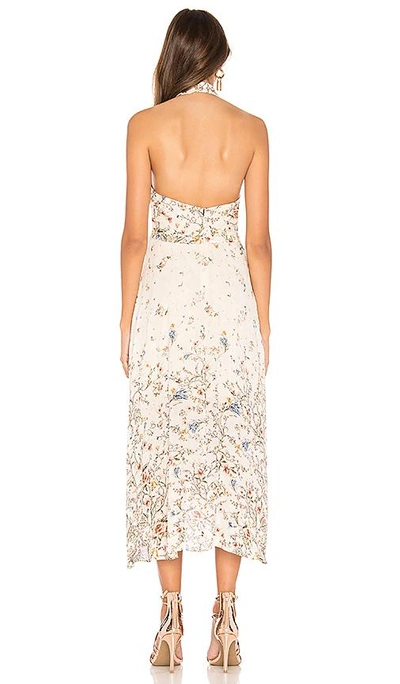 Shop Haute Hippie Andalusia Dress In Ivory