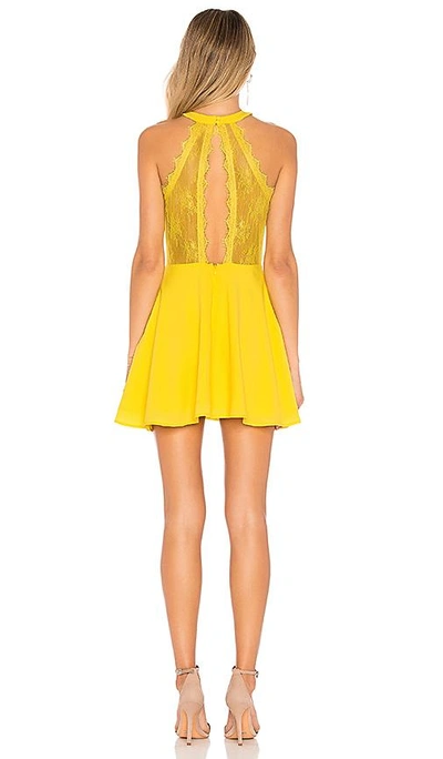 Shop Nbd Gimmie More Dress In Vibrant Yellow