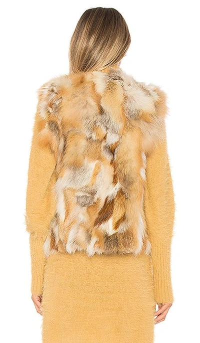 Shop Adrienne Landau Natural Fox Vest In Beige