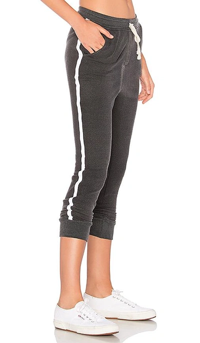 Shop Sundry Side Tape Slash Pant In Charcoal