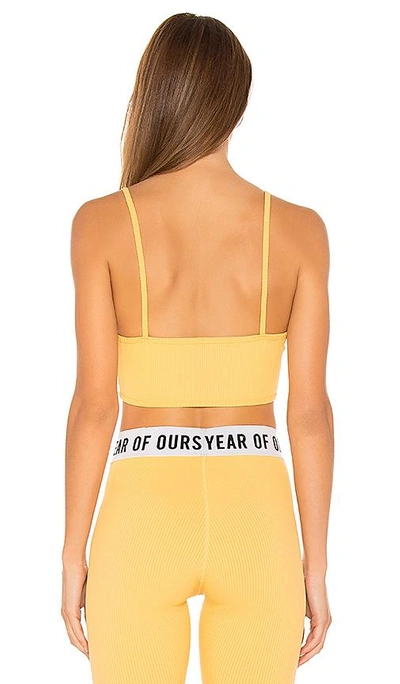 Shop Year Of Ours Rib Bralette In Yellow