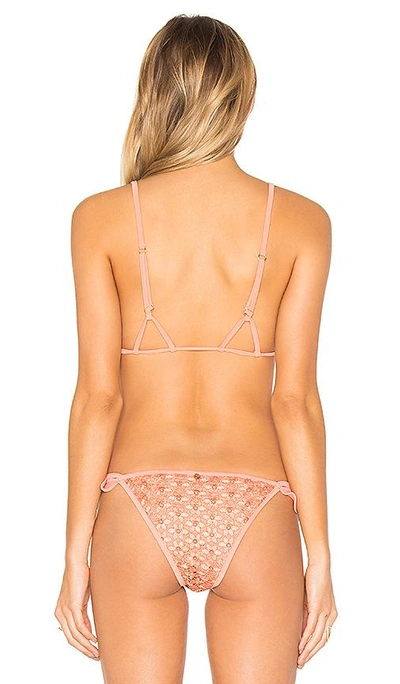 Shop For Love & Lemons Alicante Lace Triangle Top In Coral