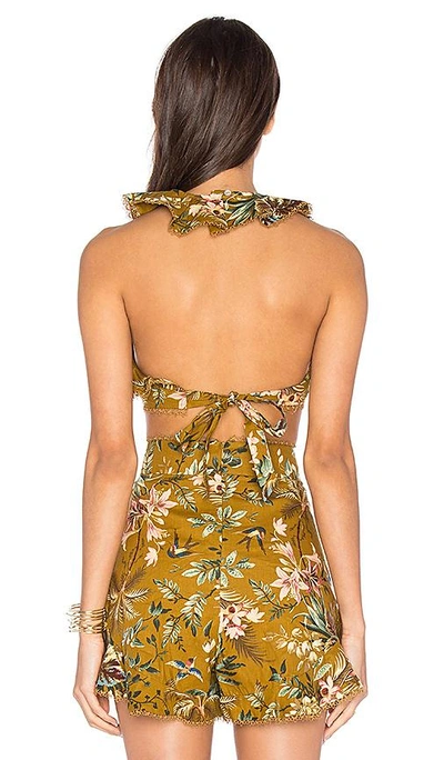 Shop Zimmermann Tropicale Flutter Tank In Yellow