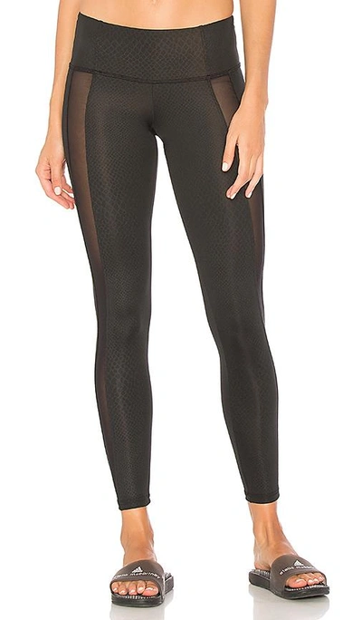 Shop Strut This The Charlie Legging In Black