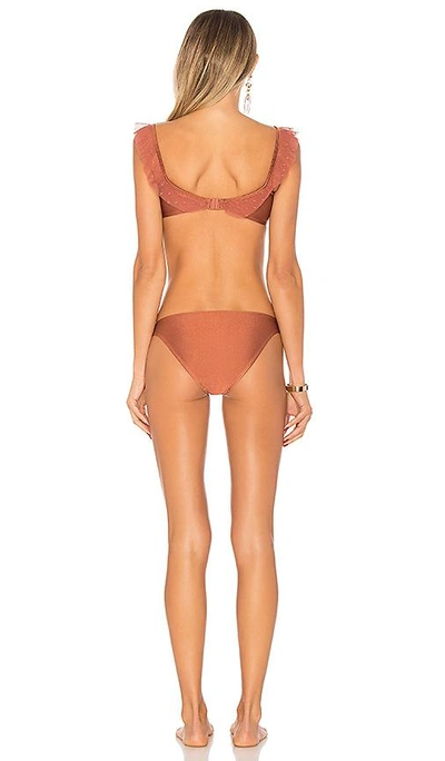 Shop Zimmermann Corsair Shoulder Frill Bikini In Rose