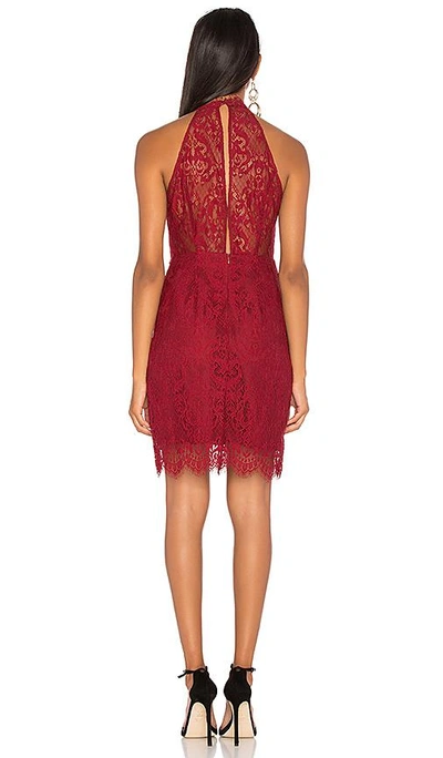 Shop Bb Dakota Cherie Dress In Pomegranate