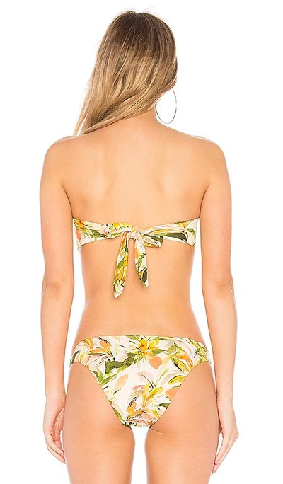 Shop Peony Swimwear Smocked Bandeau Top In Mustard