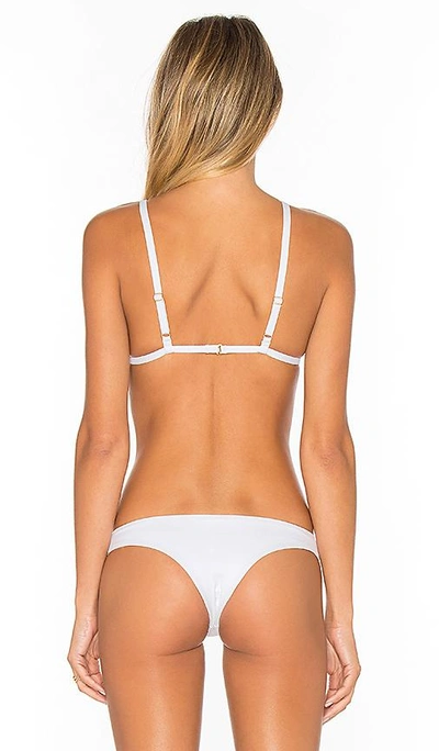 Shop Tavik Jett Bikini Top In White