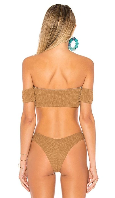 Shop Bettinis Off The Shoulder Tube Top In Brown