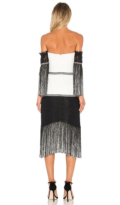 Shop Alexis Antoinette Dress In Black & White