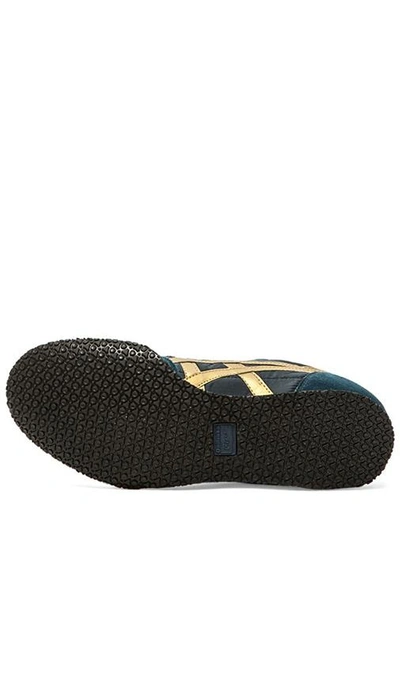 tiger serrano womens