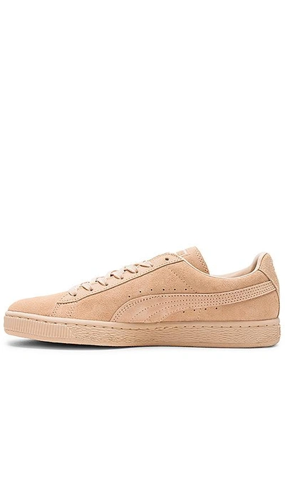 Shop Puma Suede Classic Tonal In Natural Vachetta