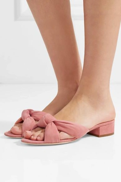 Shop Loeffler Randall Elsie Knotted Suede Sandals In Pink