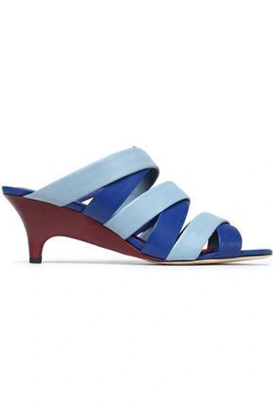 Shop Diane Von Furstenberg Woman Ghanzi Two-tone Leather Mules Blue