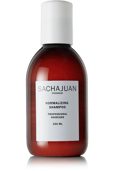 Shop Sachajuan Normalizing Shampoo, 250ml - One Size In Colorless