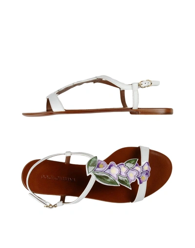 Shop Dolce & Gabbana Sandals In White