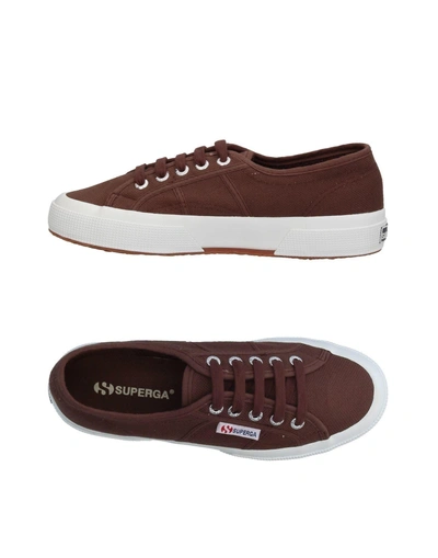 Shop Superga Sneakers In Cocoa