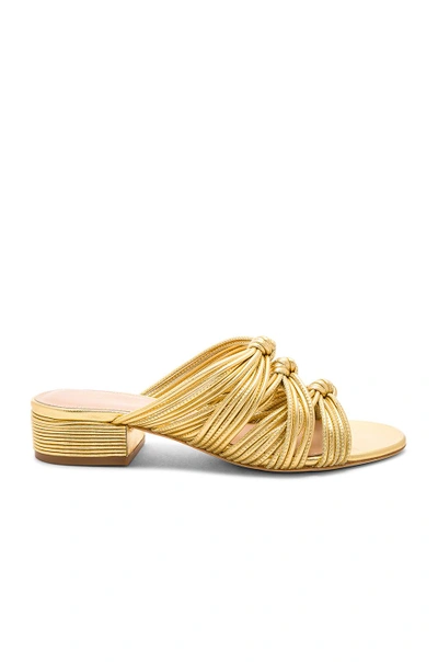 Shop Rachel Zoe Wren Sandal In Metallic Gold