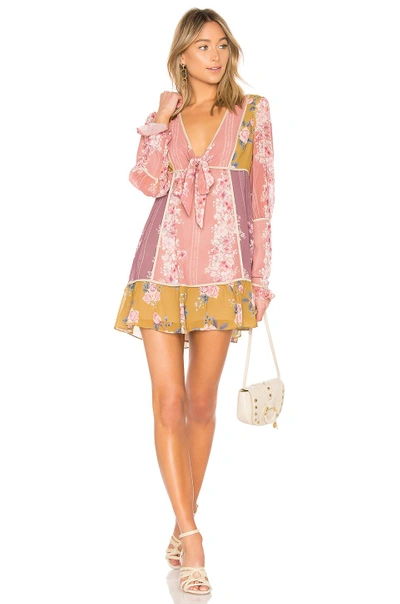 Shop We Are Kindred Florence Mini Dress In Pink