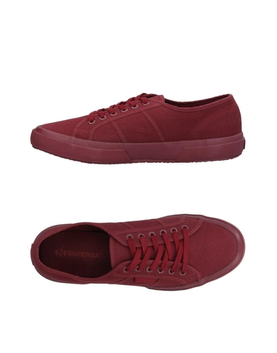 Shop Superga Man Sneakers Burgundy Size 11.5 Textile Fibers In Red