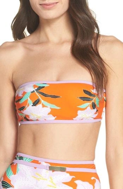 Shop Diane Von Furstenberg Print Bandeau Bikini Top In Argos Sm All Clem/ Lavender