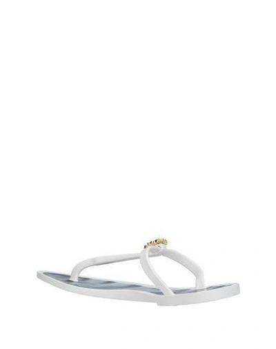 Shop Roberto Cavalli Flip Flops In White