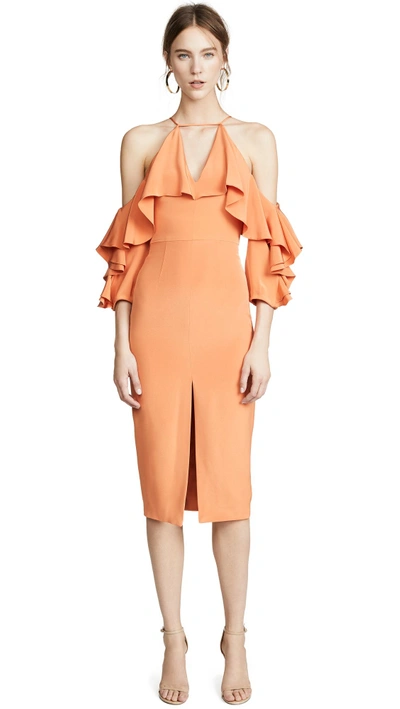 Shop Cushnie Et Ochs Aura Cold Shoulder Pencil Dress With Halter Neck In Papaya