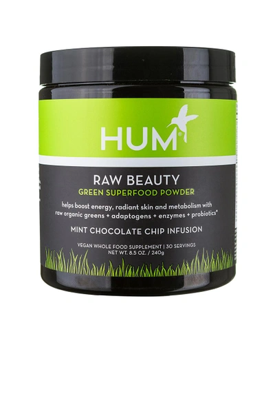 Shop Hum Nutrition Mint Chocolate Skin & Energy Superfood Powder In N,a