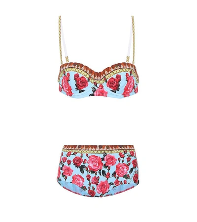 Shop Dolce & Gabbana Rose High-waisted Bikini In Female