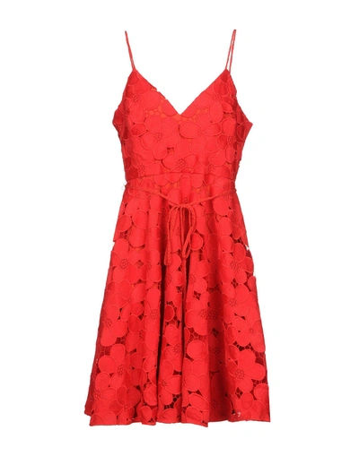 Shop Badgley Mischka Knee-length Dress In Red