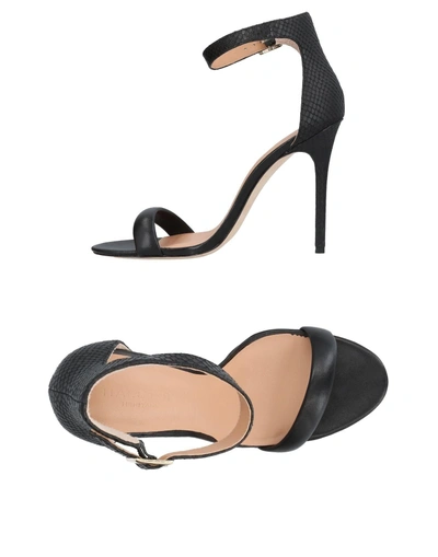 Shop Halston Heritage Sandals In Black