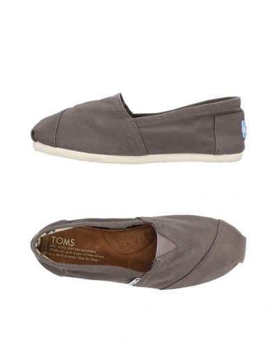 Shop Toms Sneakers In Lead