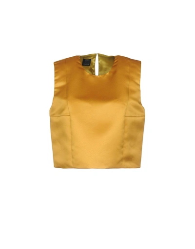 Shop Pinko Top In Ocher