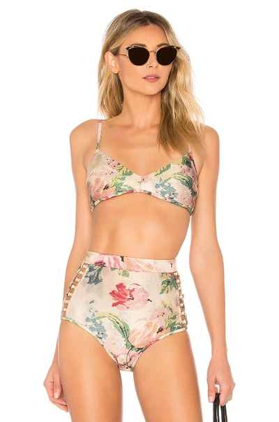 Shop Zimmermann Melody Bikini Top In Taupe Floral