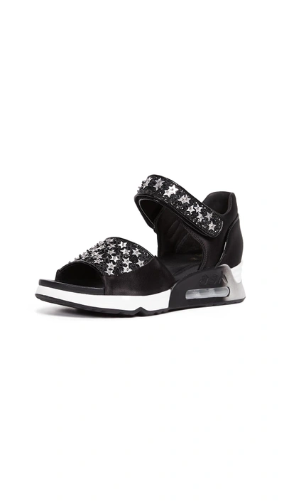 Shop Ash Lotus Star Sandals In Black/black