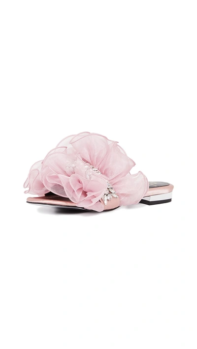 Shop Suecomma Bonnie Chiffon Ruffle Slides In Pink