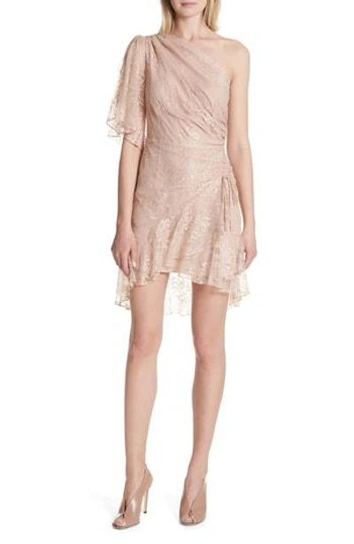Shop A.l.c Misha One-shoulder Lace Dress In Blush