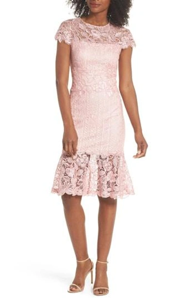 Shop Tadashi Shoji Alice Flounce Hem Lace Dress In Rose Quartz