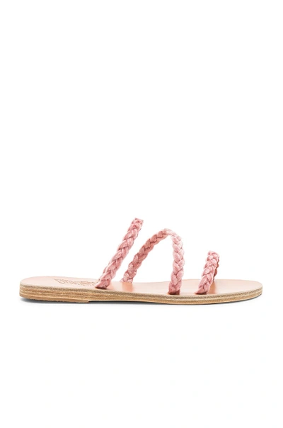 Shop Ancient Greek Sandals Alkimini Sandal In Pink