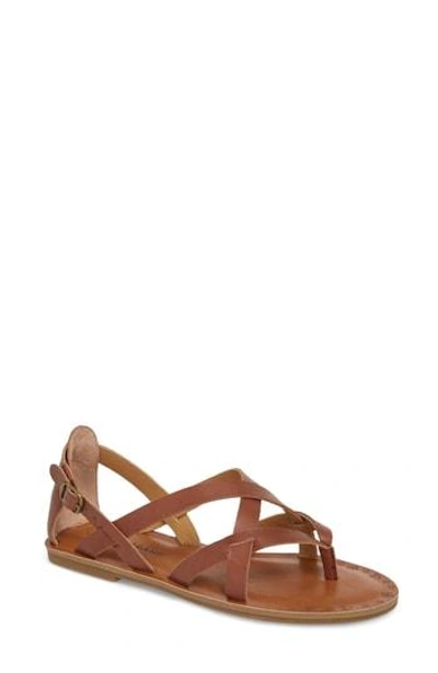 Shop Lucky Brand Ainsley Flat Sandal In Rye Leather